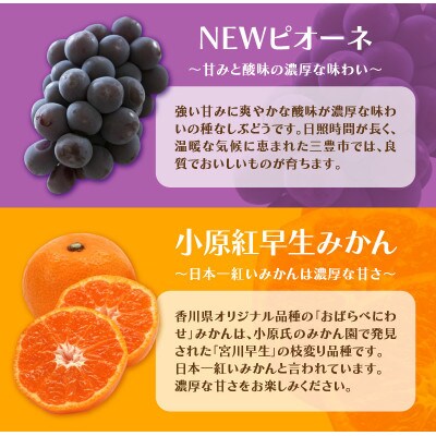 【発送月固定定期便】造田商店のセレクト定期便全4回