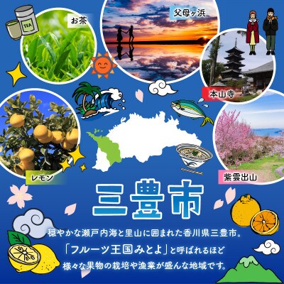 【発送月固定定期便】造田商店のセレクト定期便全4回