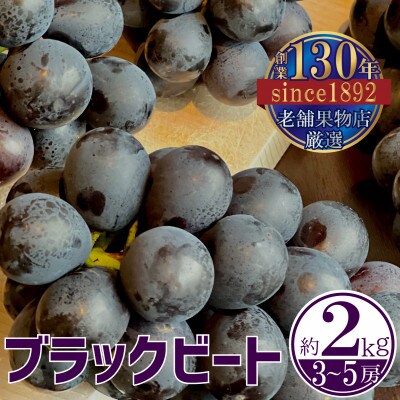【2025年8月上旬より出荷】葡萄界の超新星!ブラックビートぶどう　約2kg