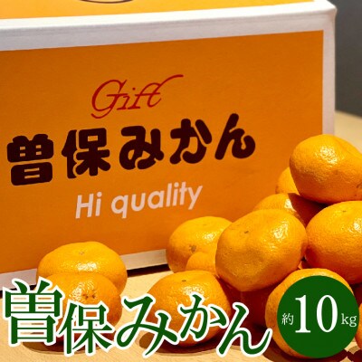 【2025年11月上旬より順次発送】希少!最高峰「曽保みかん」約10kg