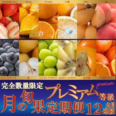 【発送月固定定期便】完全数量限定!月の旬果プレミアム等級定期便♪(12ヶ月連続)全12回