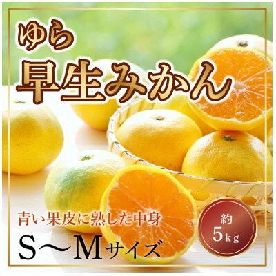 【ふるさと納税】三豊市産　極上みかん　【ゆら早生みかん5kg】　S～Mサイズ　