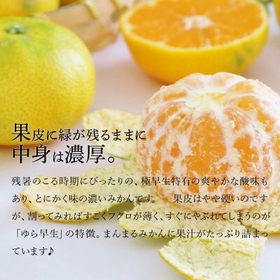 【ふるさと納税】三豊市産　極上みかん　【ゆら早生みかん5kg】　S～Mサイズ　