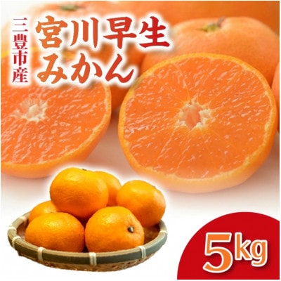 【ふるさと納税】宮川早生みかん　5kg
