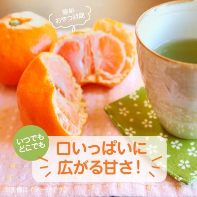 【ふるさと納税】宮川早生みかん　5kg