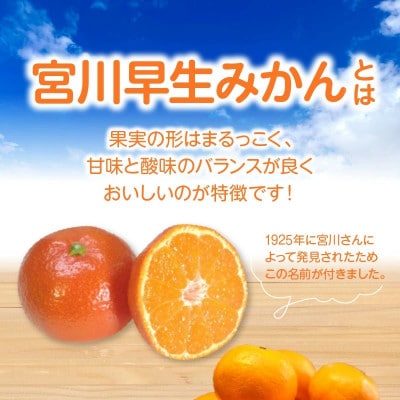 【ふるさと納税】宮川早生みかん　5kg