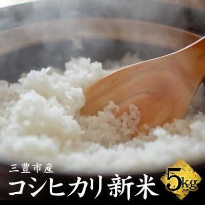 ふるさと納税　白米【新米コシヒカリ5.0kg】三豊市産
