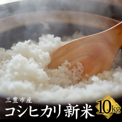 ふるさと納税　白米【新米コシヒカリ10.0kg】三豊市産