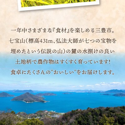 ふるさと納税　白米【新米コシヒカリ15.0kg】三豊市産