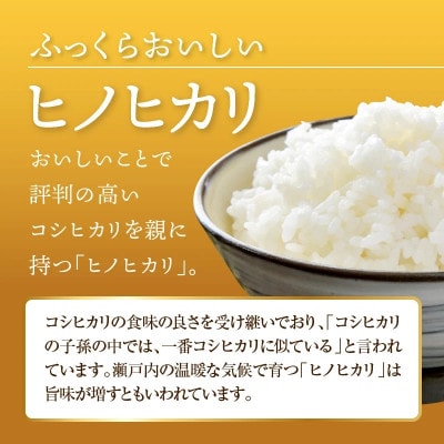 【ヒノヒカリ　10kg】(5kg×2袋) 白米
