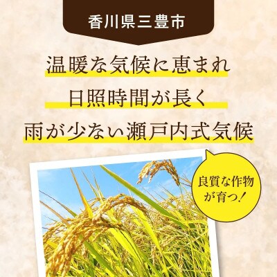 【ヒノヒカリ　10kg】(5kg×2袋) 白米