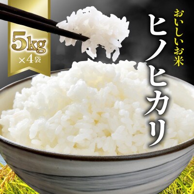 【ヒノヒカリ　20kg】(5kg×4袋) 白米
