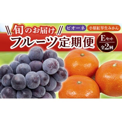 【発送月固定定期便】香川県・三豊市共通返礼品　フルーツ旬の果物　Eセット全2回