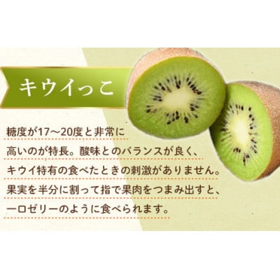 【発送月固定定期便】香川県・三豊市共通返礼品　フルーツ旬の果物　Fセット全2回