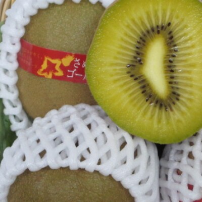 【発送月固定定期便】香川県・三豊市共通返礼品　フルーツ旬の果物　Aセット全5回