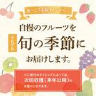 【発送月固定定期便】香川県・三豊市共通返礼品　フルーツ旬の果物　Bセット全5回