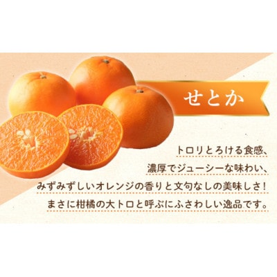 【発送月固定定期便】香川県・三豊市共通返礼品　フルーツ旬の果物　Oセット全2回