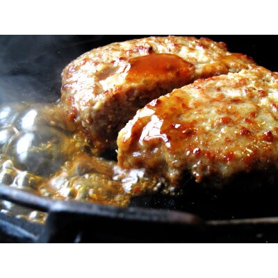 鉄板焼き ハンバーグ 食べ比べ チーズ&プレーン  20個セット 濃厚デミグラスソース