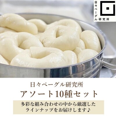【毎月定期便】お任せベーグル10種アソート全3回