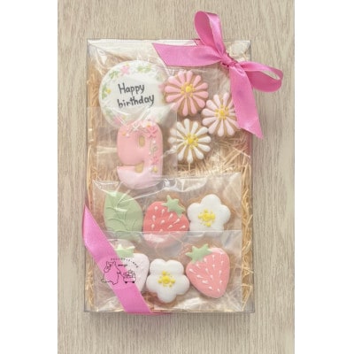 イチゴのバースデーアイシングクッキーセット【9歳向け】