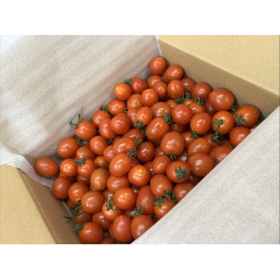 香川農園の完熟ミニトマト1.5kg