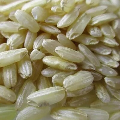 令和元年産　山形県産　はえぬき5分精米　4kg(4kg×1袋)