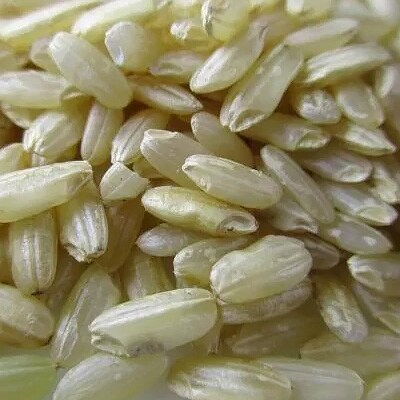 【先行受付　2020年2月発送分】　令和元年産　山形県産　はえぬき　五分精米2kg