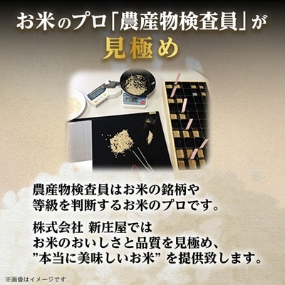 令和7年産 山形県産 はえぬき 無洗米5kg×2袋　計10kg