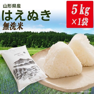 令和6年産山形県産はえぬき 無洗米(精米) 5kg