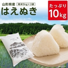 2022年2月発送開始『定期便』令和3年産 山形県産はえぬき精米5kg&times;2袋 計10kg 全3回