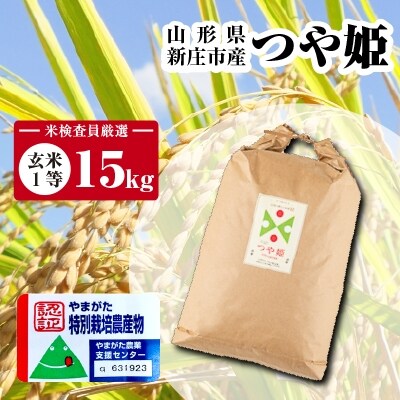 【米検査員厳選】令和4年産　新庄市産つや姫　玄米1等　15kg