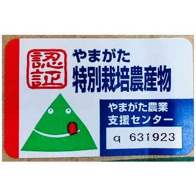 【米検査員厳選】令和4年産　新庄市産つや姫　玄米1等　15kg