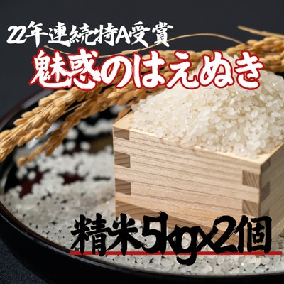 魅惑のはえぬき(精米)10kg(5kg×2袋)　令和7年産