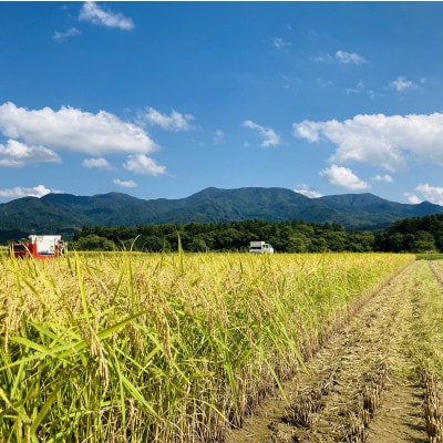魅惑のはえぬき(精米)10kg(5kg×2袋)　令和7年産