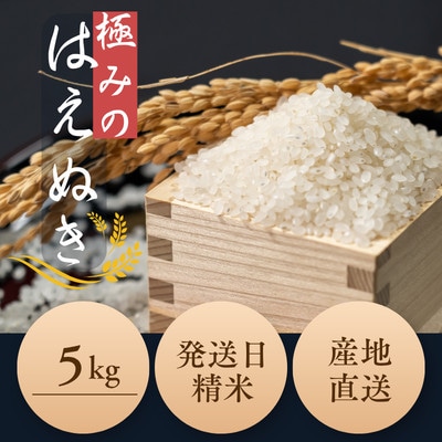 新米　極のはえぬき(精米)5kg　令和8年産