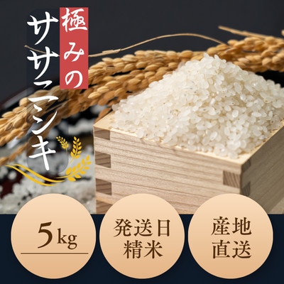 新米 令和8年産 極みのササニシキ(精米)5kg