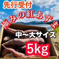 栽培期間中、農薬・化学肥料不使用 ホクホク甘〜い『極みノの紅あずま』5kg(中〜大サイズ)