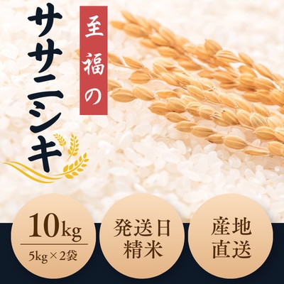 新米 令和8年産 至福のササニシキ5kg×2袋 (10kg)