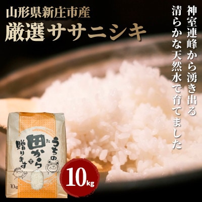 令和7年　厳選ササニシキ(精米)10kg