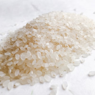 令和7年　厳選ササニシキ(精米)5kg×2袋