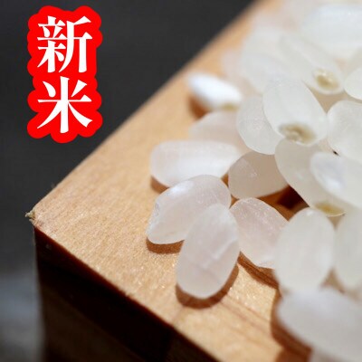 令和4年　厳選はえぬき(精米)5kg×2袋