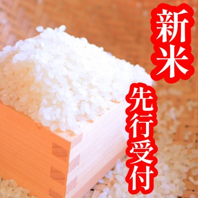 令和4年　黒澤のササニシキ 精米　4.5kg×2袋
