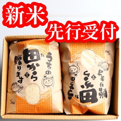 令和4年 黒澤のはえぬき 精米 5kg×2袋