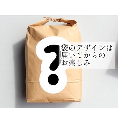 令和4年 黒澤のはえぬき 精米 5kg×2袋