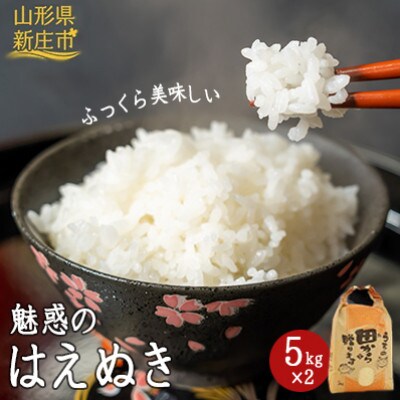 令和4年　魅惑のはえぬき(精米)10kg(5kg×2袋)
