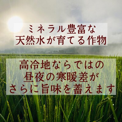 令和4年 至福のはえぬき(精米)5kg