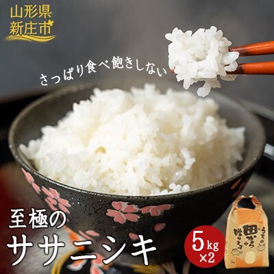 令和4年　 至福のササニシキ(精米)5kg×2袋