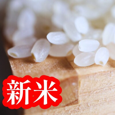 令和4年 黒澤のはえぬき 精米 5kg