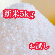 新米 令和4年産 お試し!!低温熟成乾燥【はえぬき】 5kg