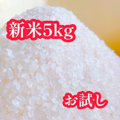 令和4年産 お試し!!低温熟成乾燥【ササニシキ】 5kg